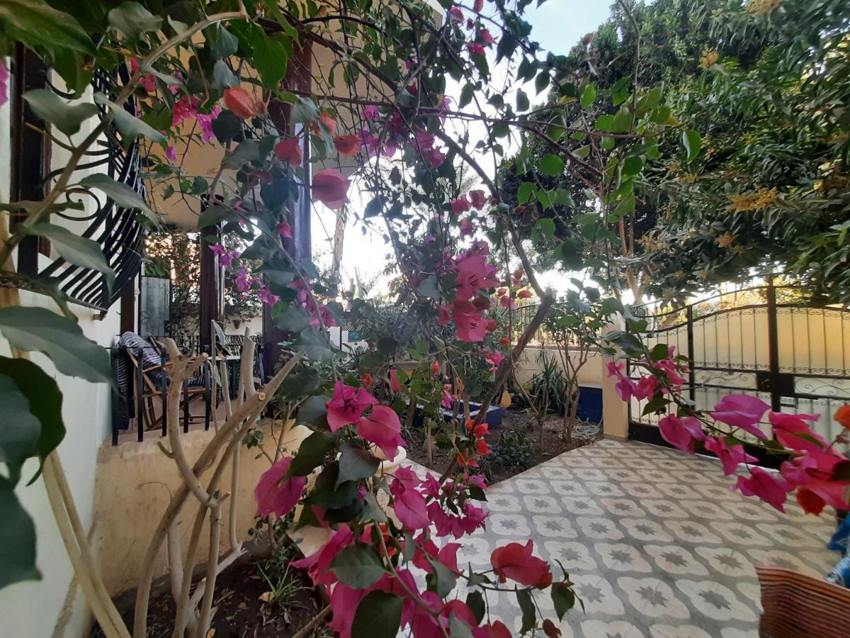 Bahri * Luxor